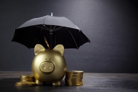 Insuring for Wealth Protection
