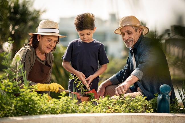 Retirees and Grandson